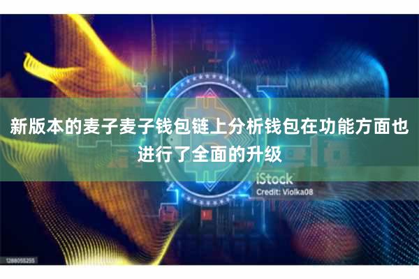 新版本的麦子麦子钱包链上分析钱包在功能方面也进行了全面的升级