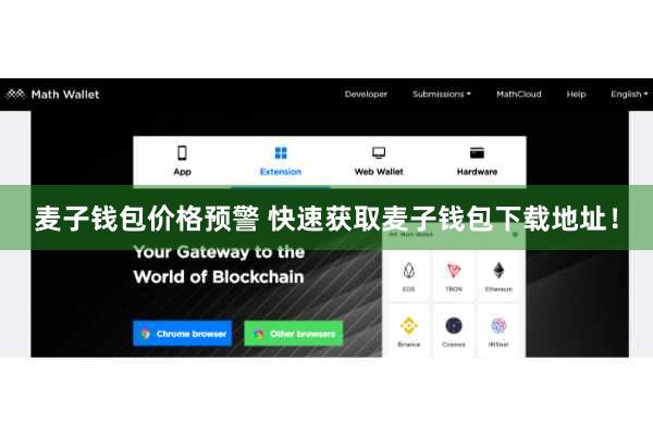 麦子钱包价格预警 快速获取麦子钱包下载地址！