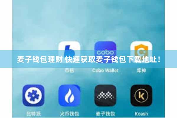 麦子钱包理财 快速获取麦子钱包下载地址！