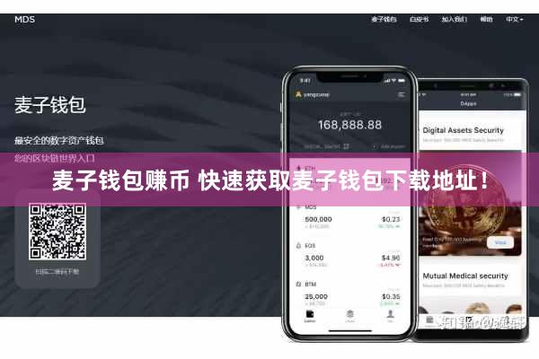 麦子钱包赚币 快速获取麦子钱包下载地址！