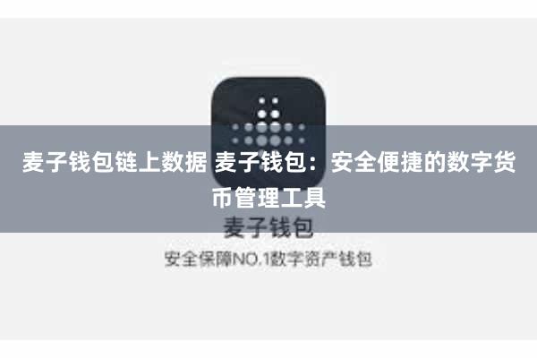 麦子钱包链上数据 麦子钱包：安全便捷的数字货币管理工具
