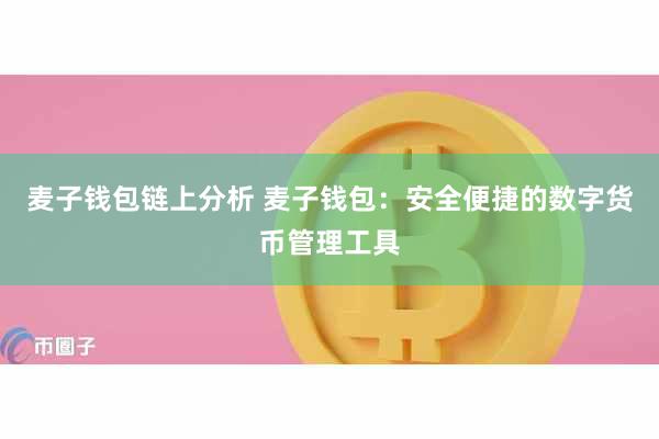 麦子钱包链上分析 麦子钱包：安全便捷的数字货币管理工具