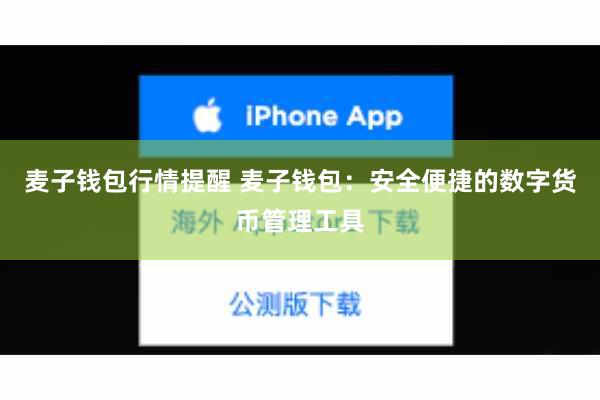 麦子钱包行情提醒 麦子钱包：安全便捷的数字货币管理工具