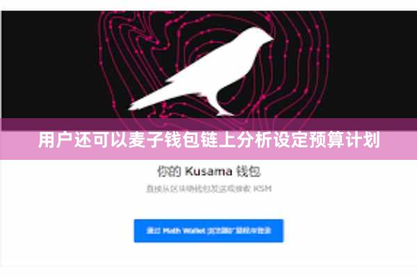 用户还可以麦子钱包链上分析设定预算计划