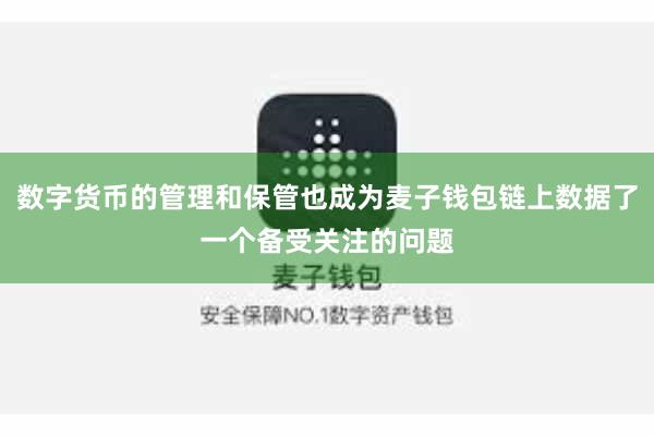 数字货币的管理和保管也成为麦子钱包链上数据了一个备受关注的问题