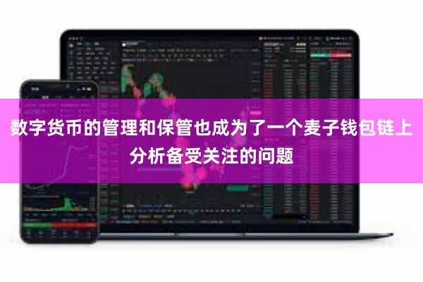 数字货币的管理和保管也成为了一个麦子钱包链上分析备受关注的问题