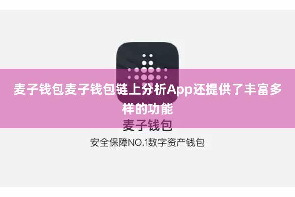 麦子钱包麦子钱包链上分析App还提供了丰富多样的功能
