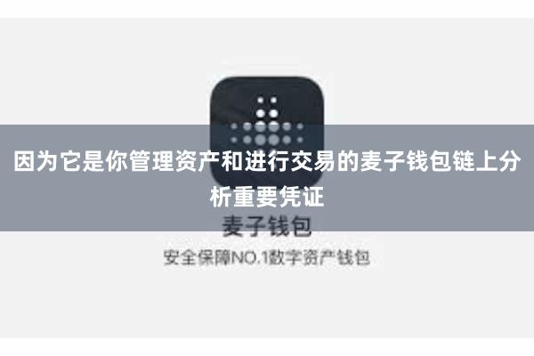 因为它是你管理资产和进行交易的麦子钱包链上分析重要凭证