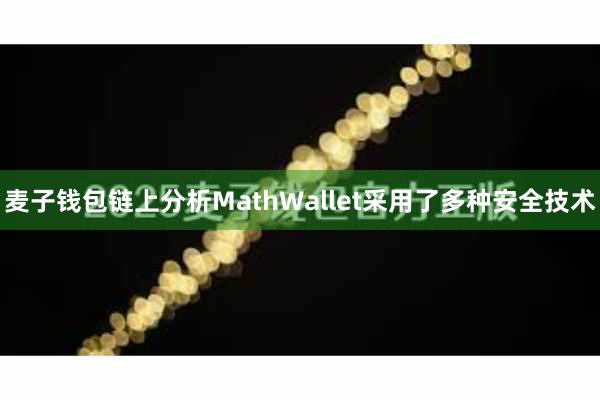 麦子钱包链上分析MathWallet采用了多种安全技术