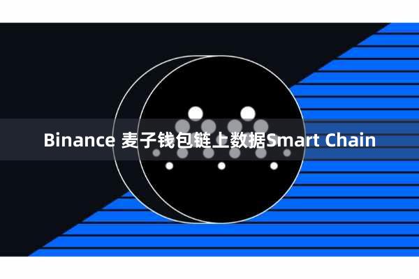 Binance 麦子钱包链上数据Smart Chain