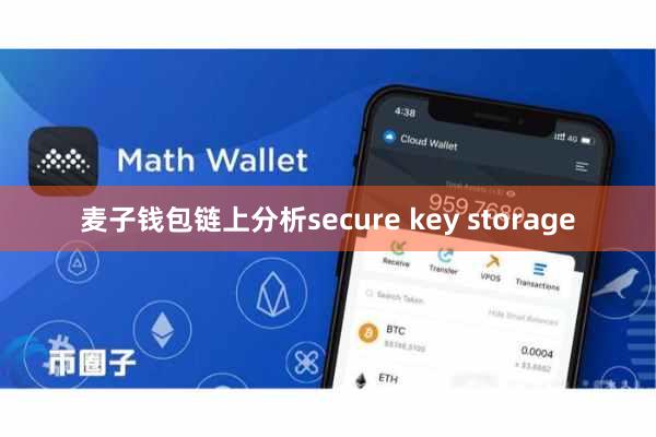 麦子钱包链上分析secure key storage