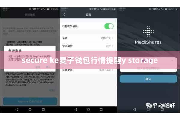 secure ke麦子钱包行情提醒y storage