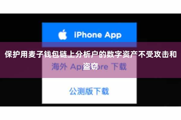 保护用麦子钱包链上分析户的数字资产不受攻击和盗窃
