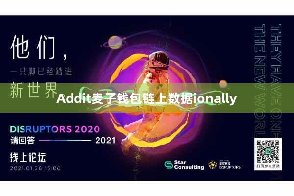 Addit麦子钱包链上数据ionally