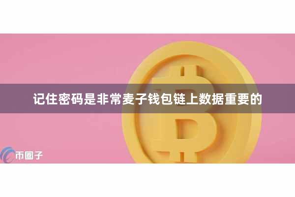 记住密码是非常麦子钱包链上数据重要的