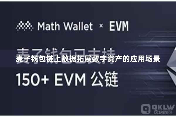 麦子钱包链上数据拓展数字资产的应用场景