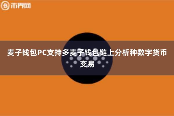 麦子钱包PC支持多麦子钱包链上分析种数字货币交易
