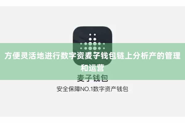 方便灵活地进行数字资麦子钱包链上分析产的管理和运营