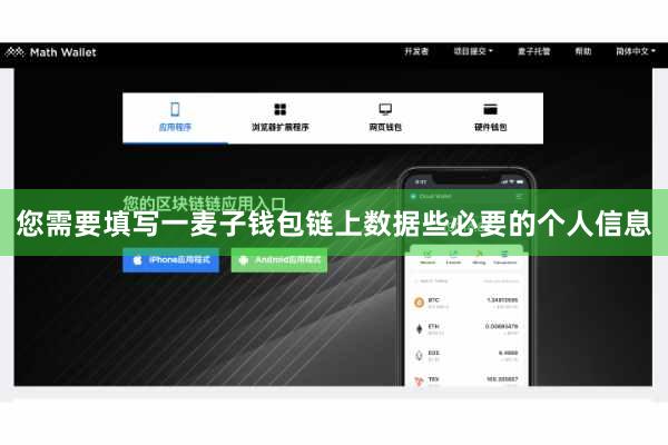 您需要填写一麦子钱包链上数据些必要的个人信息