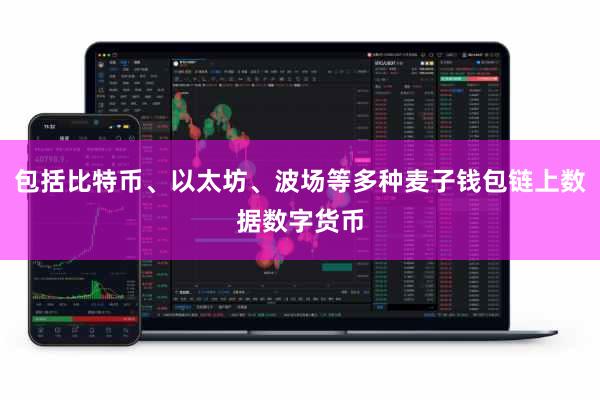 包括比特币、以太坊、波场等多种麦子钱包链上数据数字货币